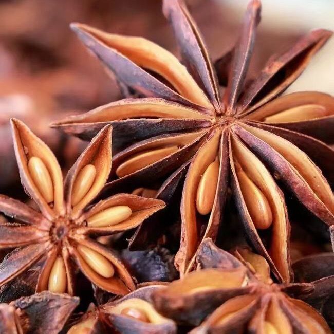 广西藤县古龙八角大茴香籽调味品八角桂皮调料佐料八角特级特一级