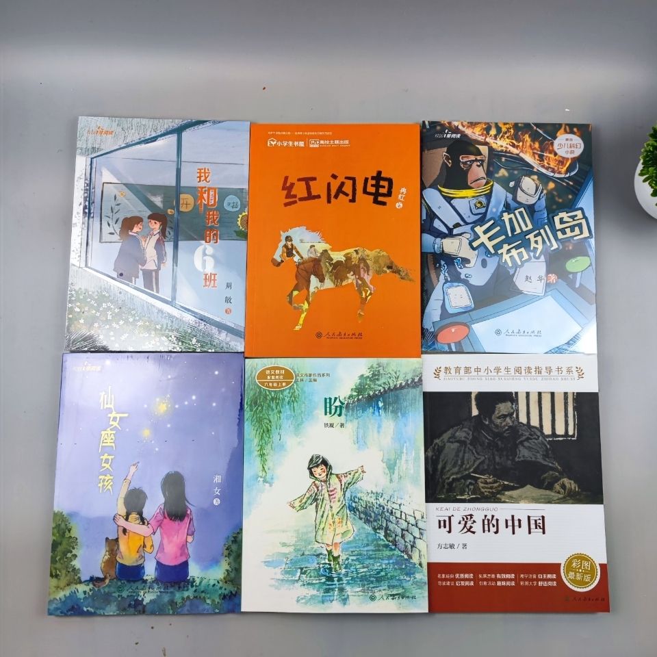 六年级课外书下非法慧智我和我的6班仙女座女孩南海金刚红闪电卡-图3