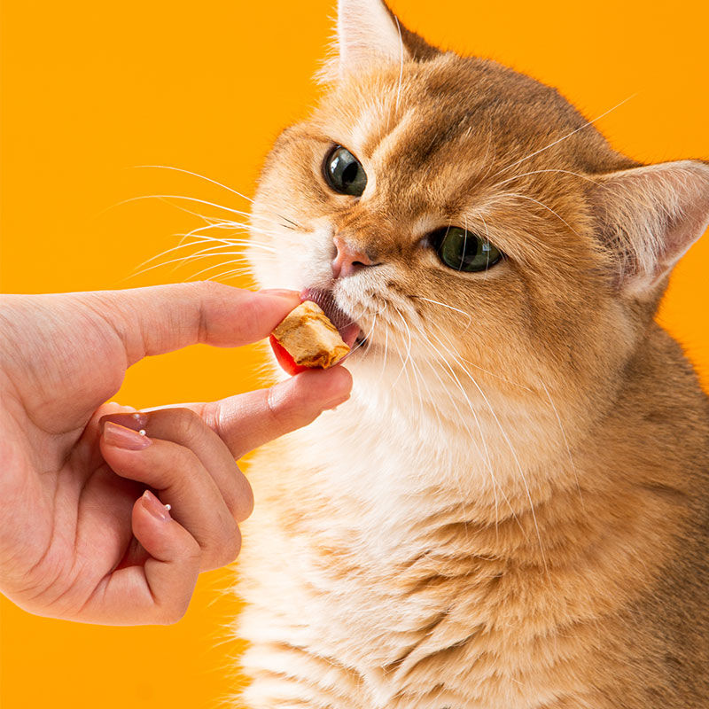猫零食冻干鸡肉粒宠物鸡胸肉鹌鹑蛋黄小鱼干幼猫猫咪营养增肥猫粮