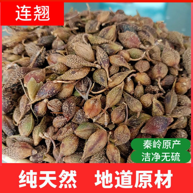 连翘中药材 新货贯叶连翘干货 天然青翘黄翘连翘可磨粉连翘茶连翘
