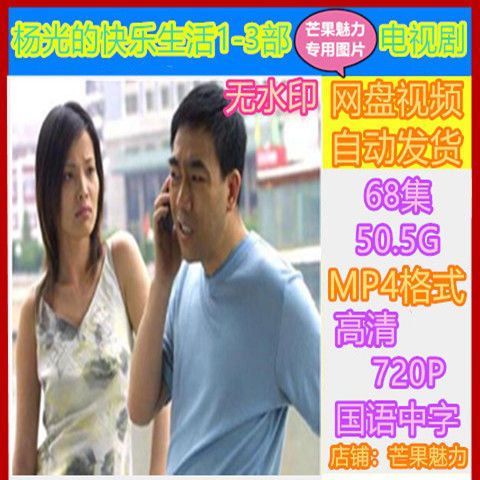 杨光的快乐生活1-3部电视剧 68全集 高清画质 多媒体视频制作