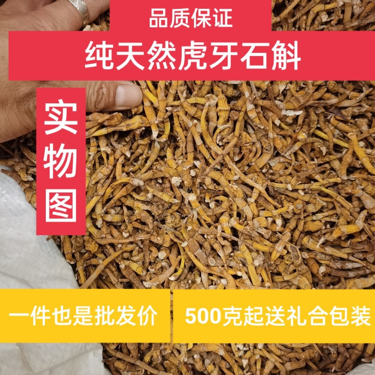 天然野生虎牙石斛.纯天然无公害采摘深山虎牙石斛