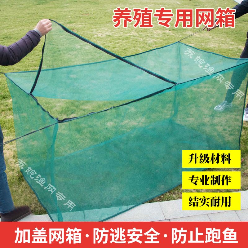 10目加盖网箱 RAS养殖专用鱼苗培育网箱