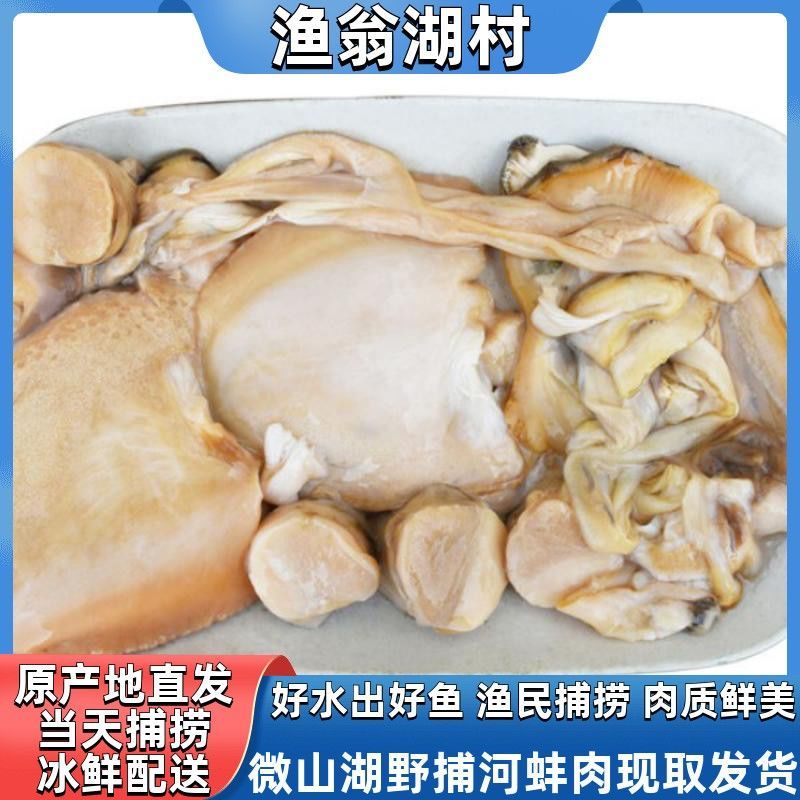 【微山湖野捕河蚌】鲜活体蚌河蚌肉蚌肉去壳净肉现捞现杀冷鲜净肉