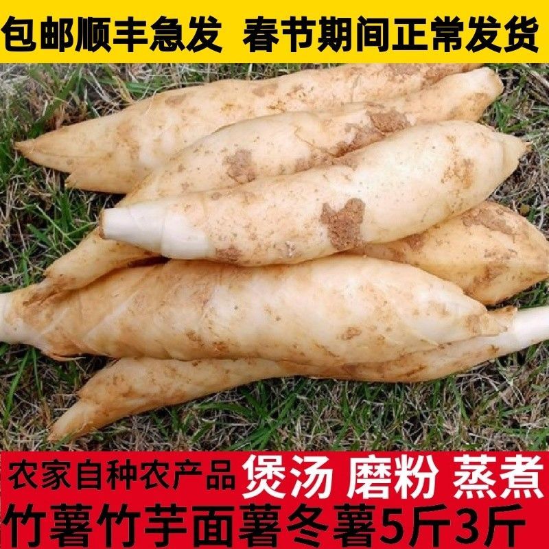 新鲜竹薯现挖竹芋面薯冬薯5斤3斤农家自种食火锅煲汤正宗化州特产