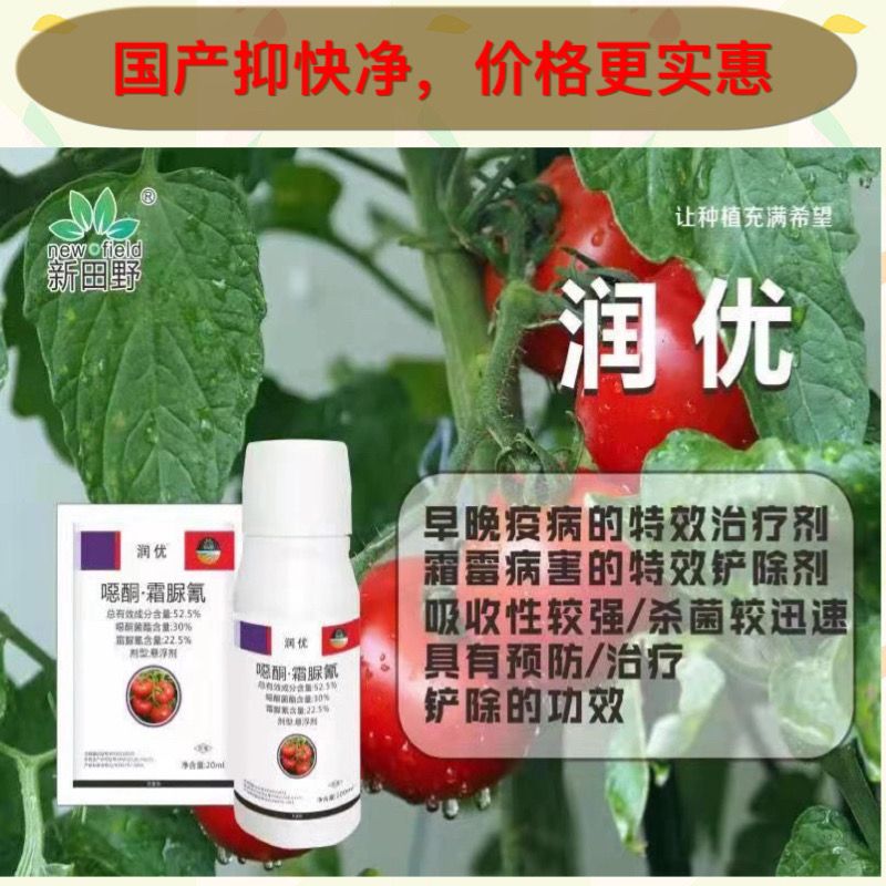 国产抑快净润优噁酮霜脲氰辣椒茄子黄瓜番茄霜霉病疫病农药杀菌剂