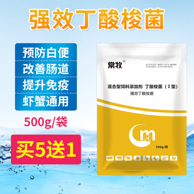丁酸梭菌丁酸菌丁酸梭状芽孢杆菌酪酸菌水产养殖虾蟹鱼塘空肠白便