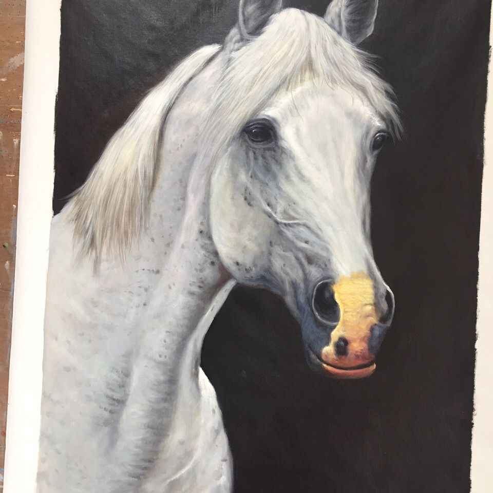 一马当先(白马王子)60×90cm  手绘油画