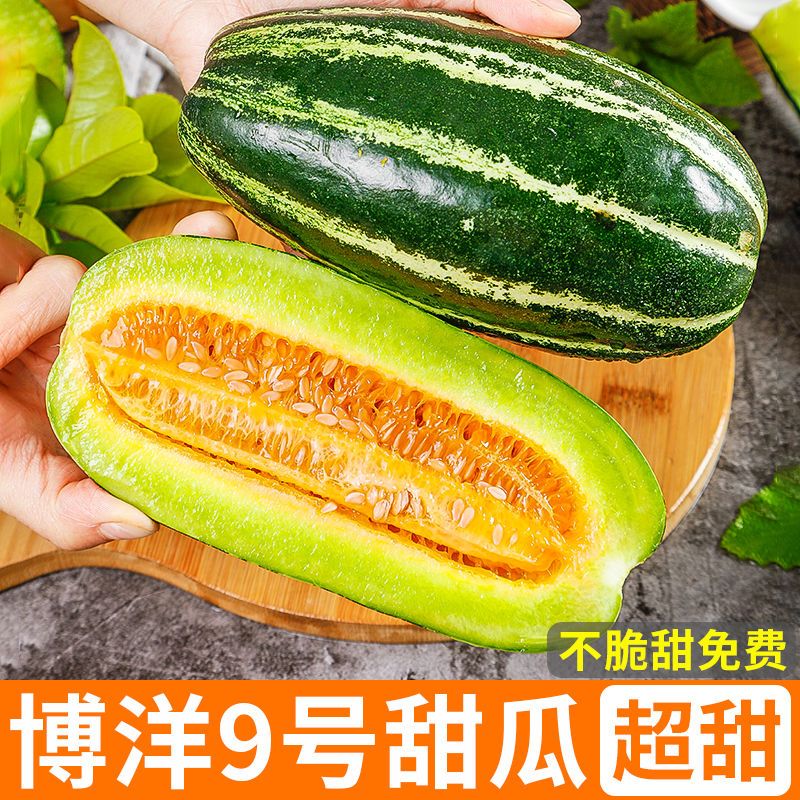 山东博洋9号甜瓜5斤当季新鲜水果整箱包邮羊角蜜九号大果脆甜香瓜