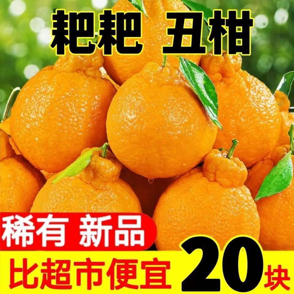 四川丑橘不知火丑八怪橘子柑橘丑柑应季新鲜水果桔子1/5/10斤批发