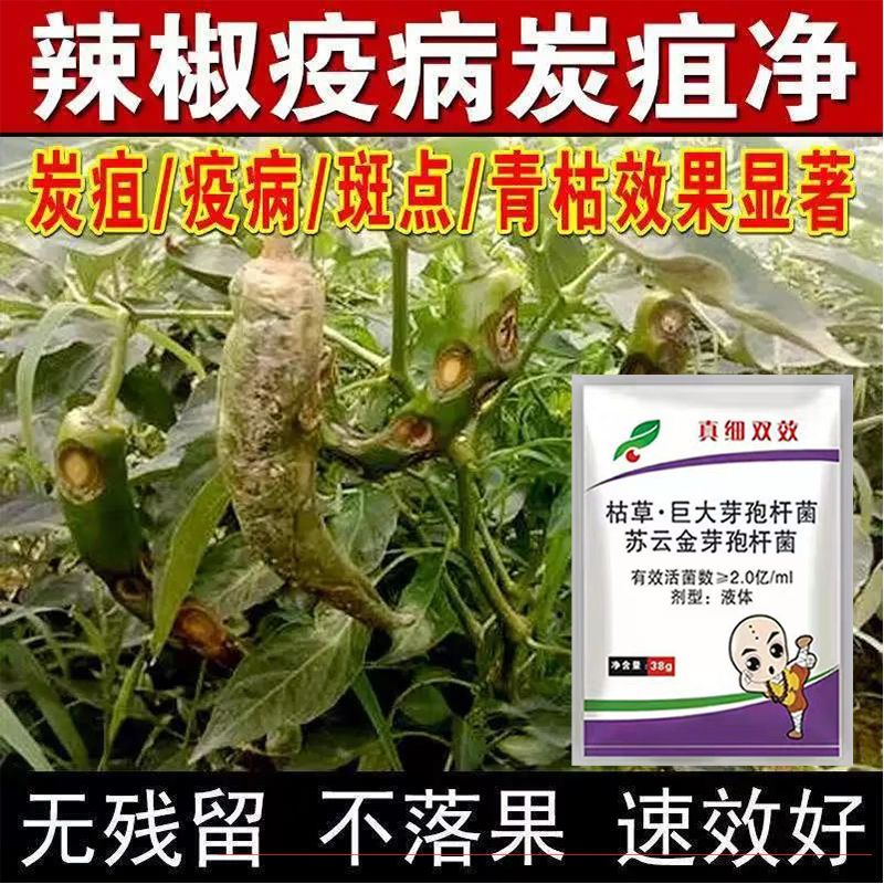 辣椒病专用杀菌剂辣椒病通用炭疽病白粉病早疫病软腐病辣椒病全治