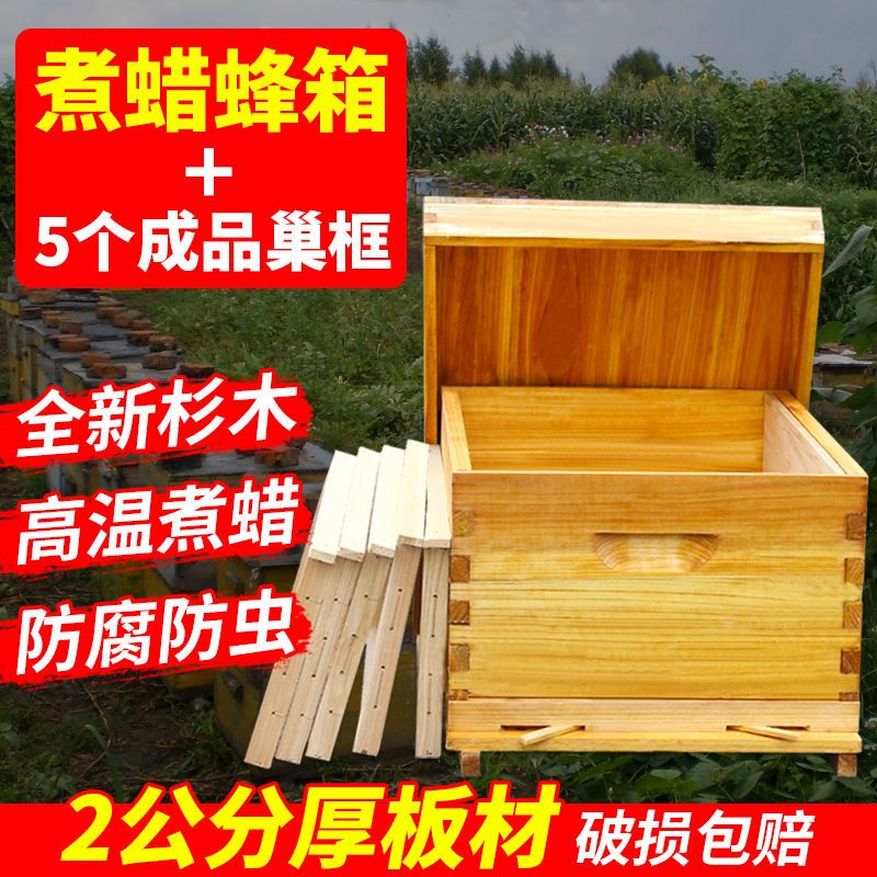 蜂大哥蜜蜂蜂箱全套标准十框煮蜡中蜂蜂箱诱蜂桶批发养蜂专用平箱