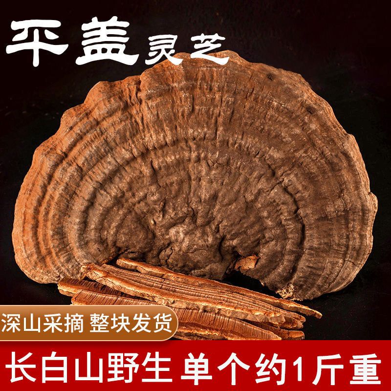 批发长白山野生平盖灵芝野生灵芝树舌灵芝林芝青芝泡茶泡酒