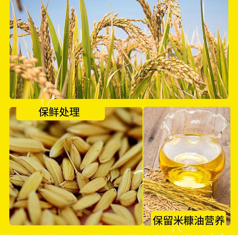春之言 米糠油稻米油5L/桶均衡谷维素谷物提取烟少不油腻食用油纯稻谷油