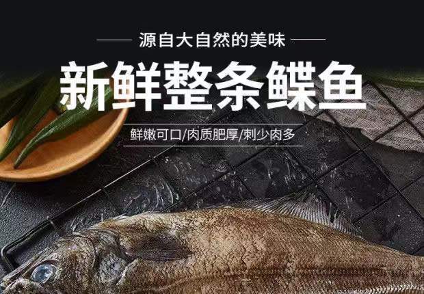 整条特大深海鲽鱼新鲜比目鱼大扁口鱼野生鲽鱼批发雅片鱼身