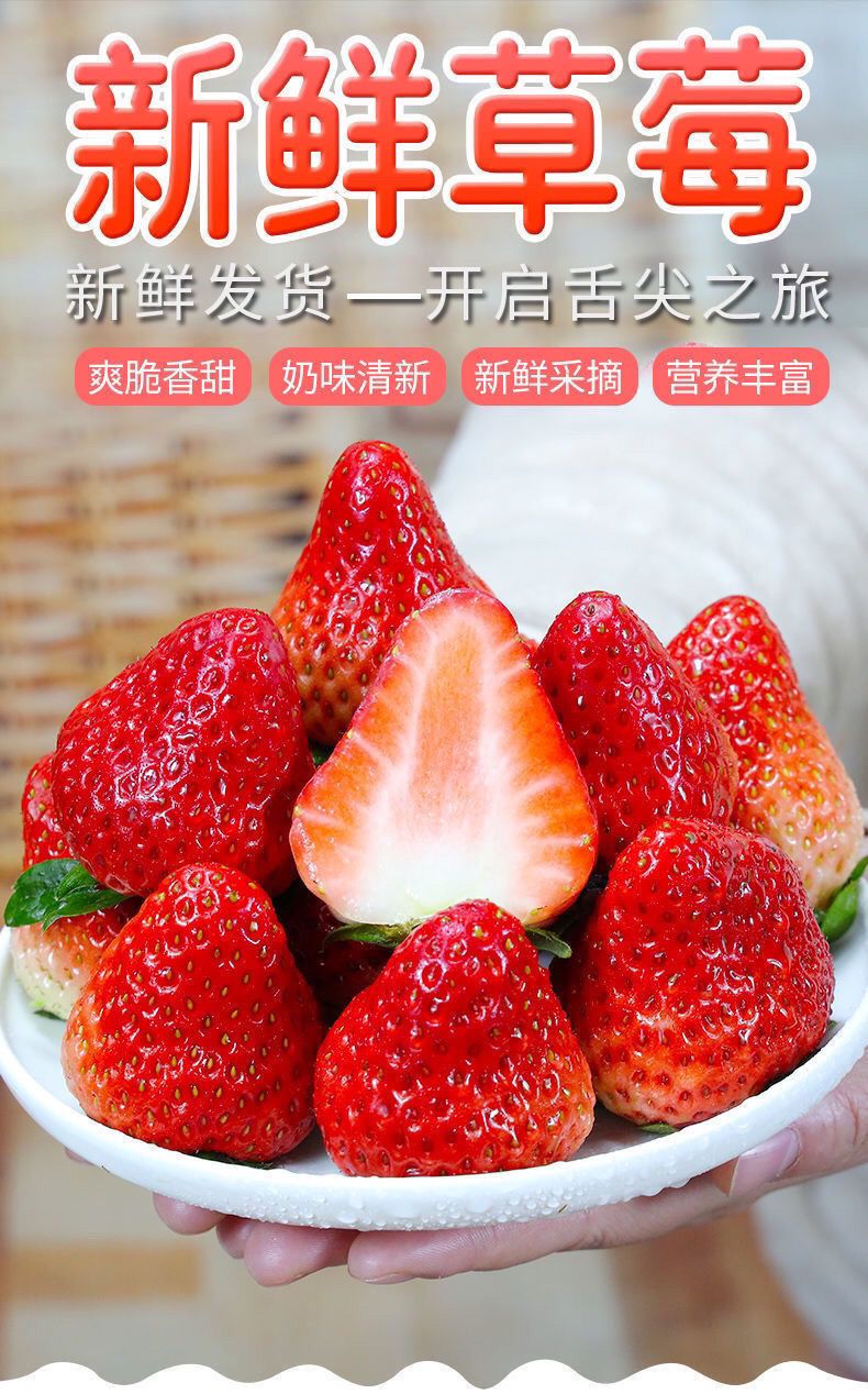 草莓新鲜现摘商用烘培果饮草莓水果孕妇水果一整箱