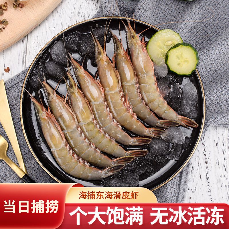 【当日捕捞】东海鹰爪虾滑皮虾新鲜野生硬壳虾海鲜水产鲜活青壳虾