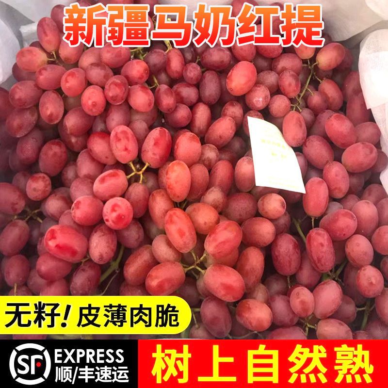 【顺丰5斤】新疆无籽红提克伦生葡萄新鲜水果超甜马奶红提子2斤