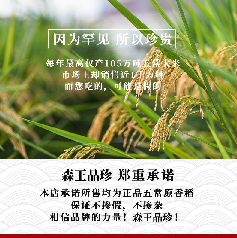 黑龙江五常大米原粮稻花香2号20斤长粒香米10kg东北大米新米10斤
