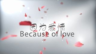 因为爱情