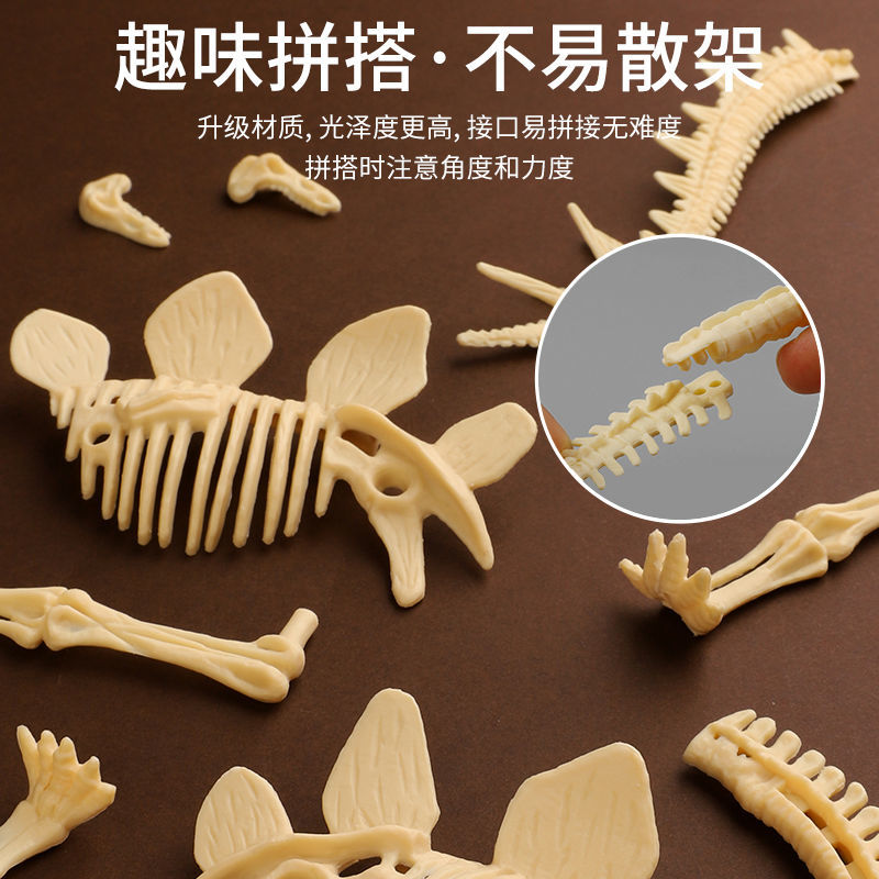 恐龙化石考古挖掘玩具霸王龙三角龙恐龙化石模型益智拼装考古玩具