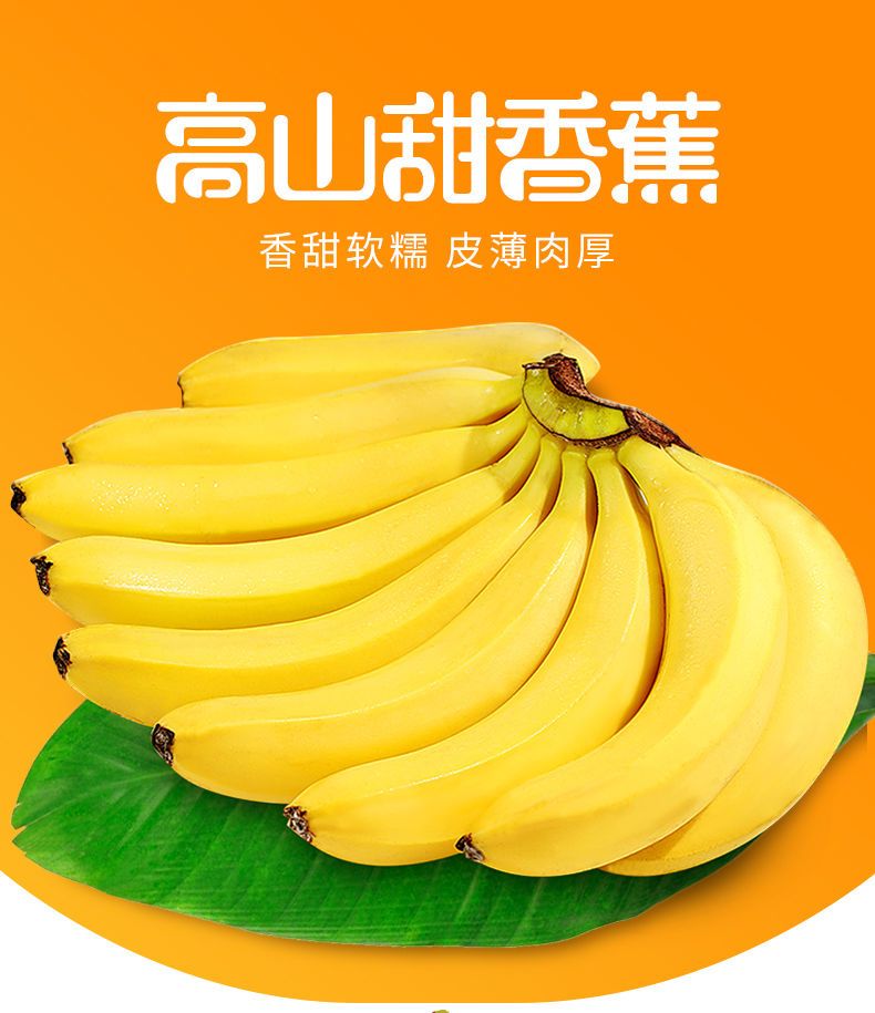 10斤高山香甜大香蕉当季新鲜水果5斤芭蕉包邮香焦自然熟整箱批发