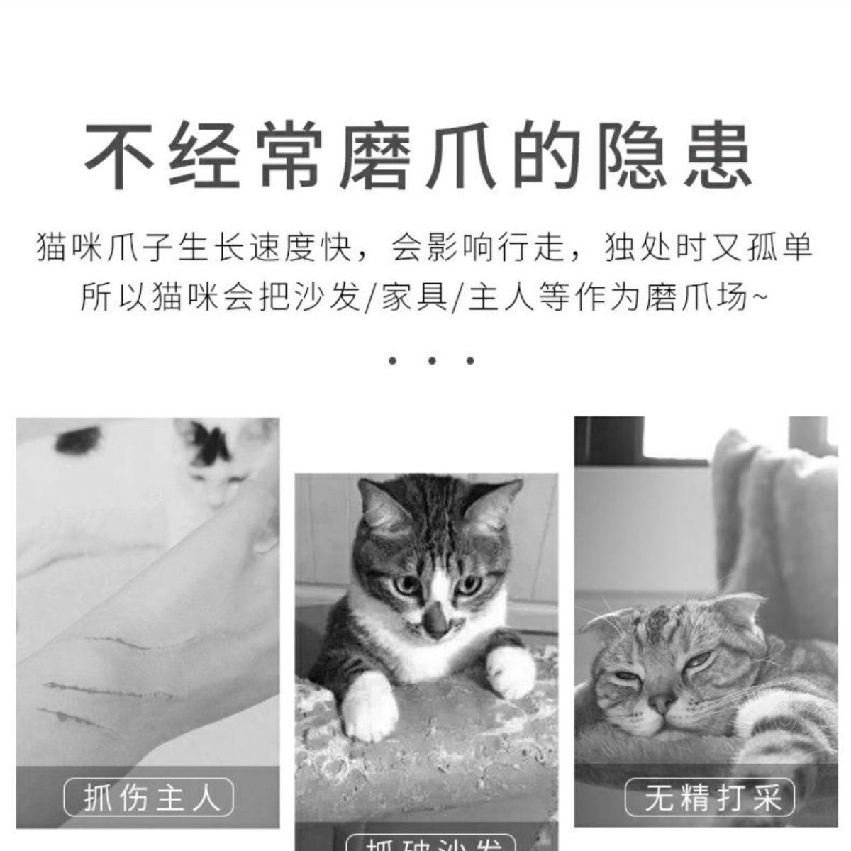 商品缩略图 8