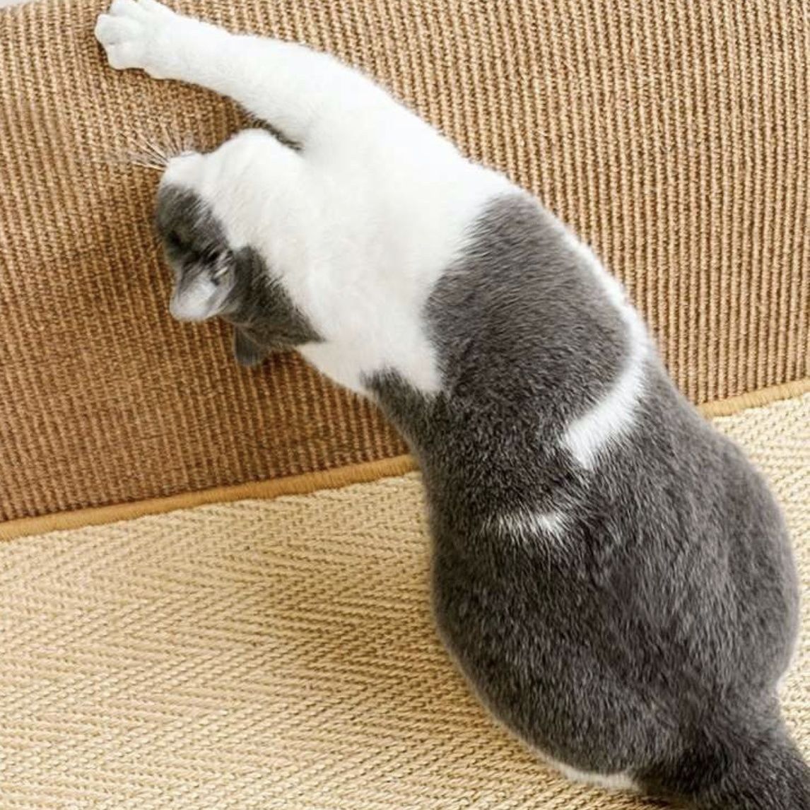 商品缩略图 2