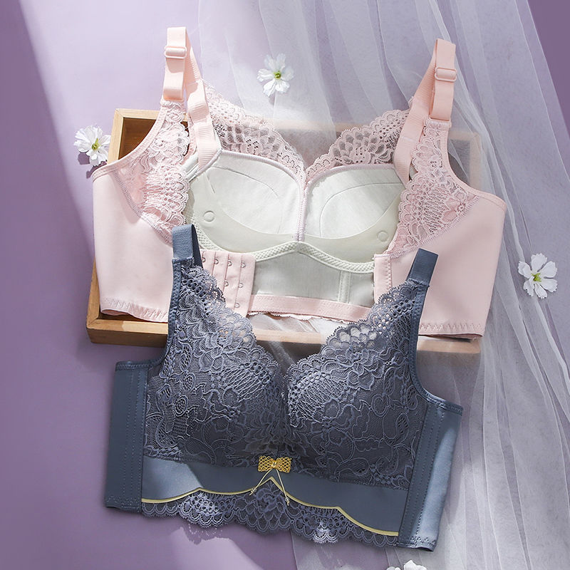 Xianlandie underwear women's brand counter genuine small breasts gathered beautiful back new collection breast anti-sagging bra bra