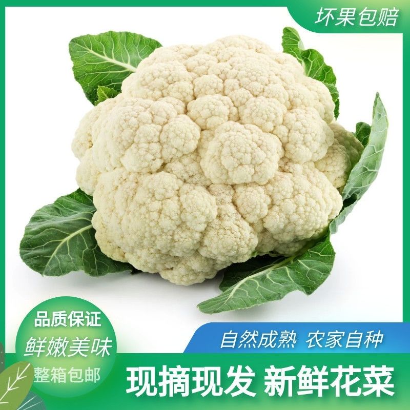 云南高山花菜白花菜花椰菜菜花新鲜现摘老品种紧实花菜非有机菜花 咩吔值得买