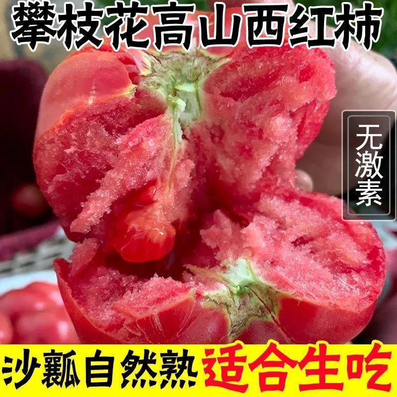 【10斤装沙瓤自然熟西红柿】新鲜蔬菜 现摘露天可生吃大小番茄2斤