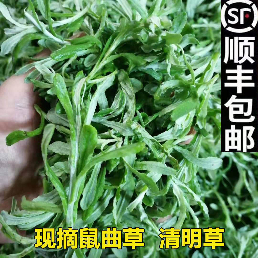 新鲜鼠曲草清明菜清明草佛耳草绒毛草鼠麴田艾草清明糯米粑原材料