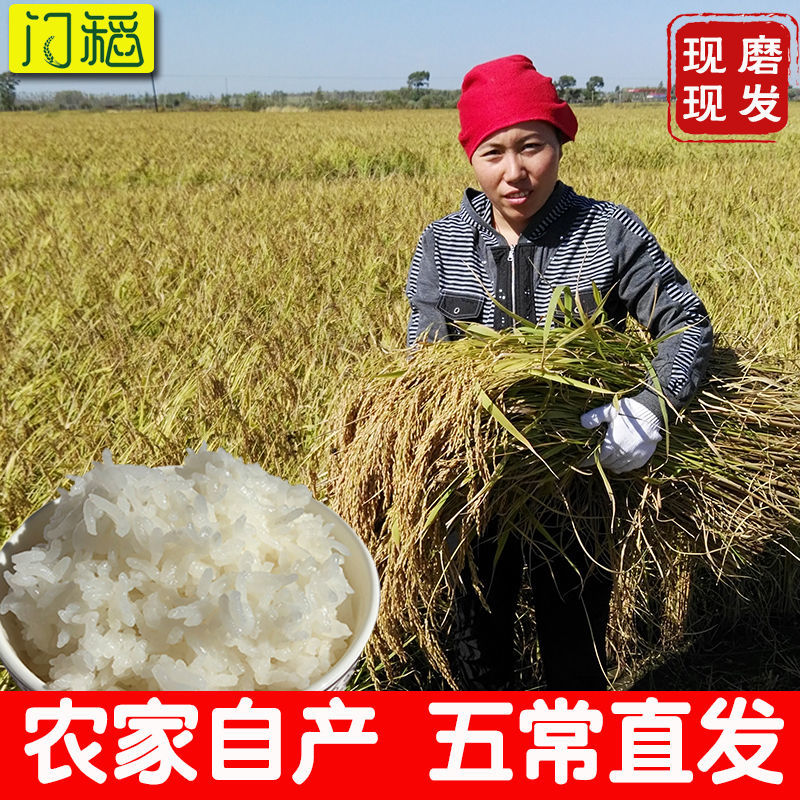 门稻22新米五常大米5kg优质东北大米20斤长粒香米10斤50斤批发价