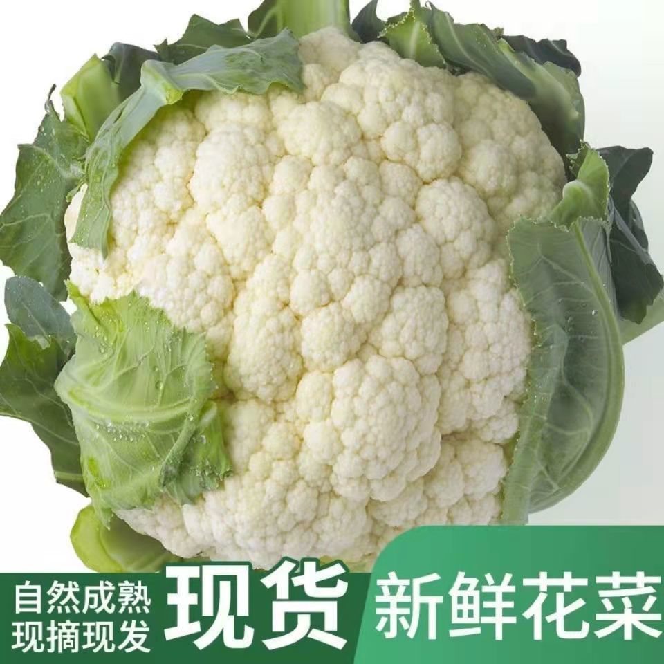 批发价 新鲜菜花椰菜松花菜青梗花白菜花时令蔬菜批发地头直发 咩吔值得买