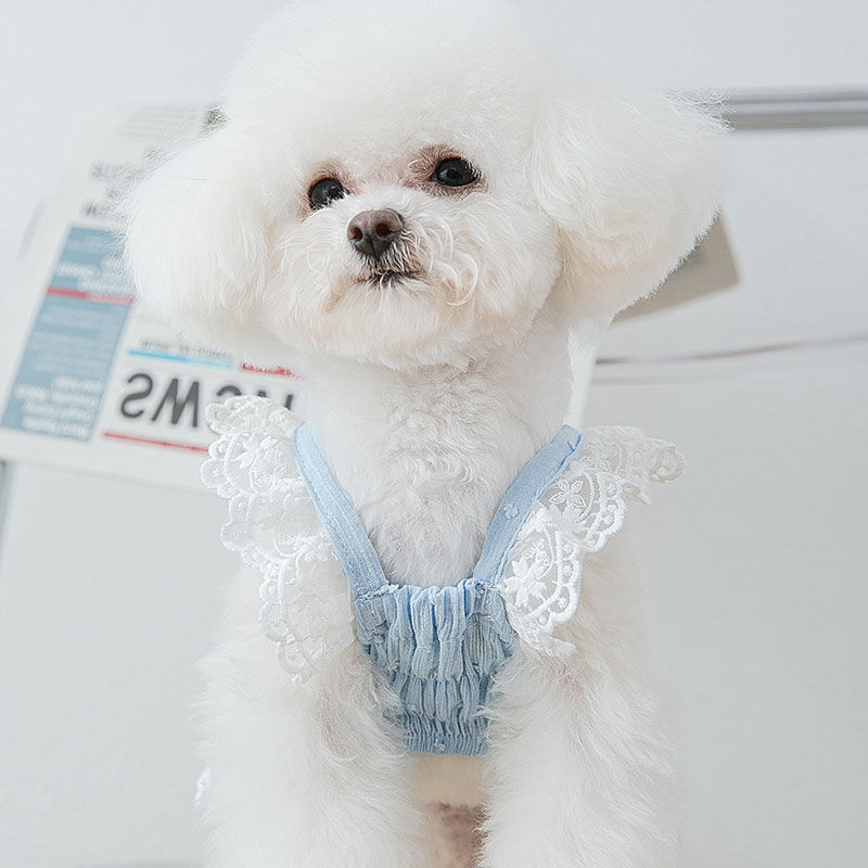 Puffy skirt dog clothes cat spring and summer thin section Teddy Bichon Pomeranian Schnauzer small dog pet summer