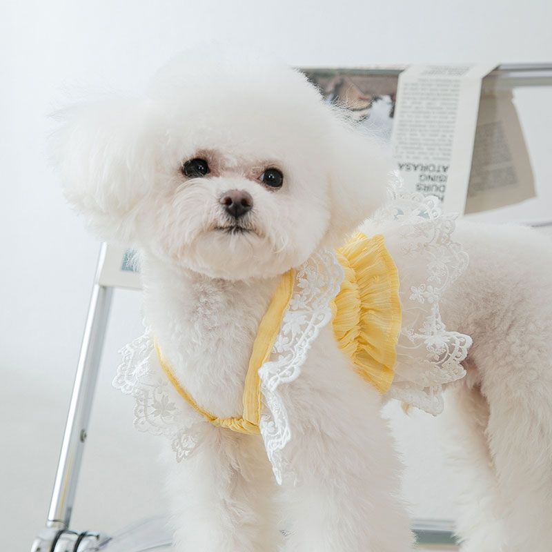 Puffy skirt dog clothes cat spring and summer thin section Teddy Bichon Pomeranian Schnauzer small dog pet summer