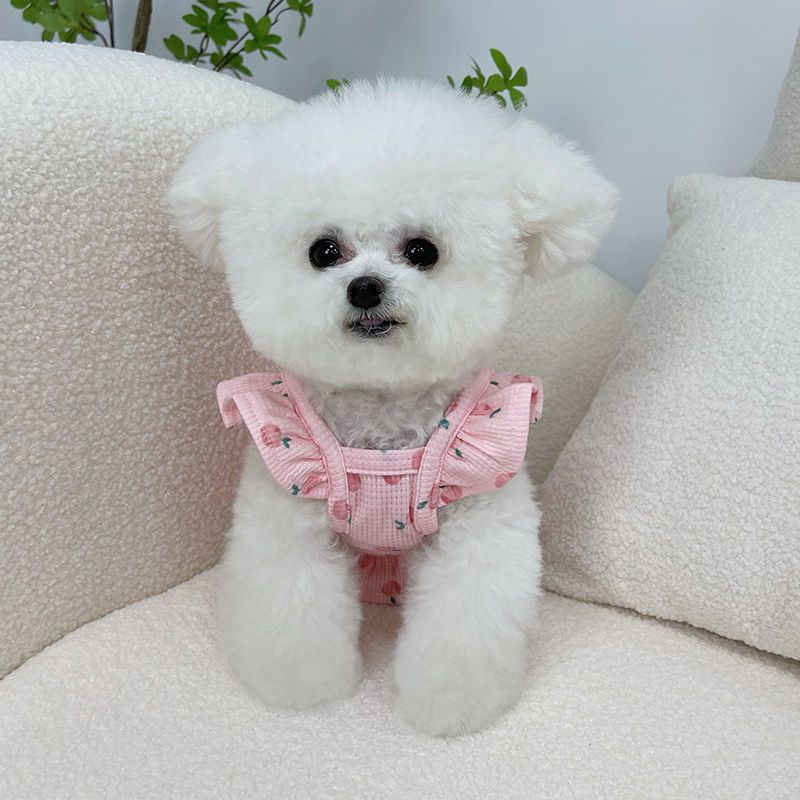 Summer New Little Dog Pet Clothes Flying Sleeve Short Skirt Teddy Bears Dog Cat Thin Tank Top Dress