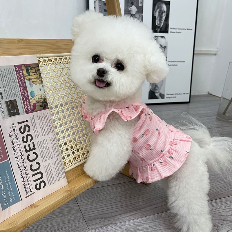 Summer New Little Dog Pet Clothes Flying Sleeve Short Skirt Teddy Bears Dog Cat Thin Tank Top Dress