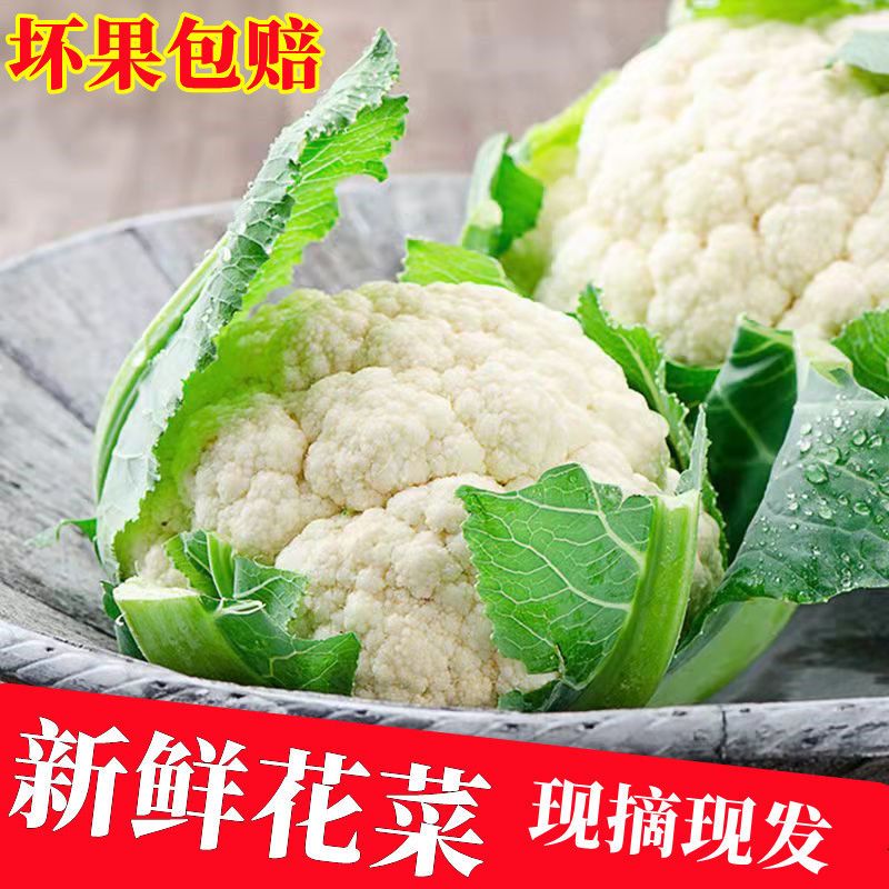现摘现发 新鲜菜花白花菜花椰菜菜花农家自种整箱新鲜蔬菜菜花 咩吔值得买