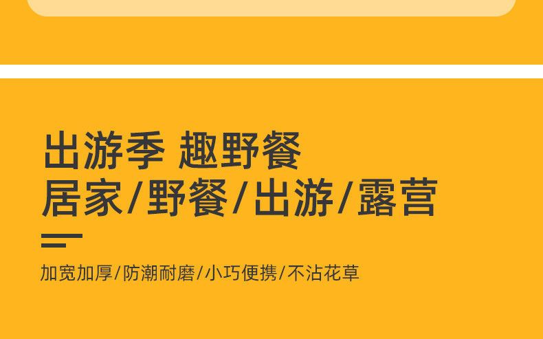 户外防潮垫野餐垫超轻便携野炊户外沙滩垫春游防水加厚草坪垫子