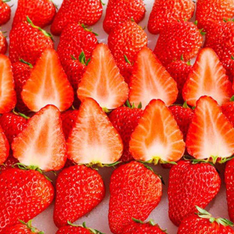 现摘现货红颜99草莓牛奶油草莓新鲜孕妇水果应季商用大甜草莓
