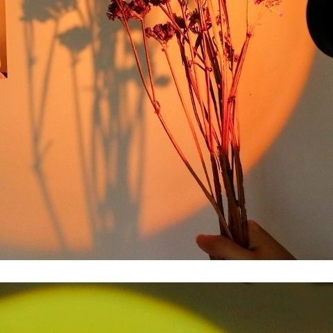 拍照氛围灯 Led氛围灯 网红氛围灯
