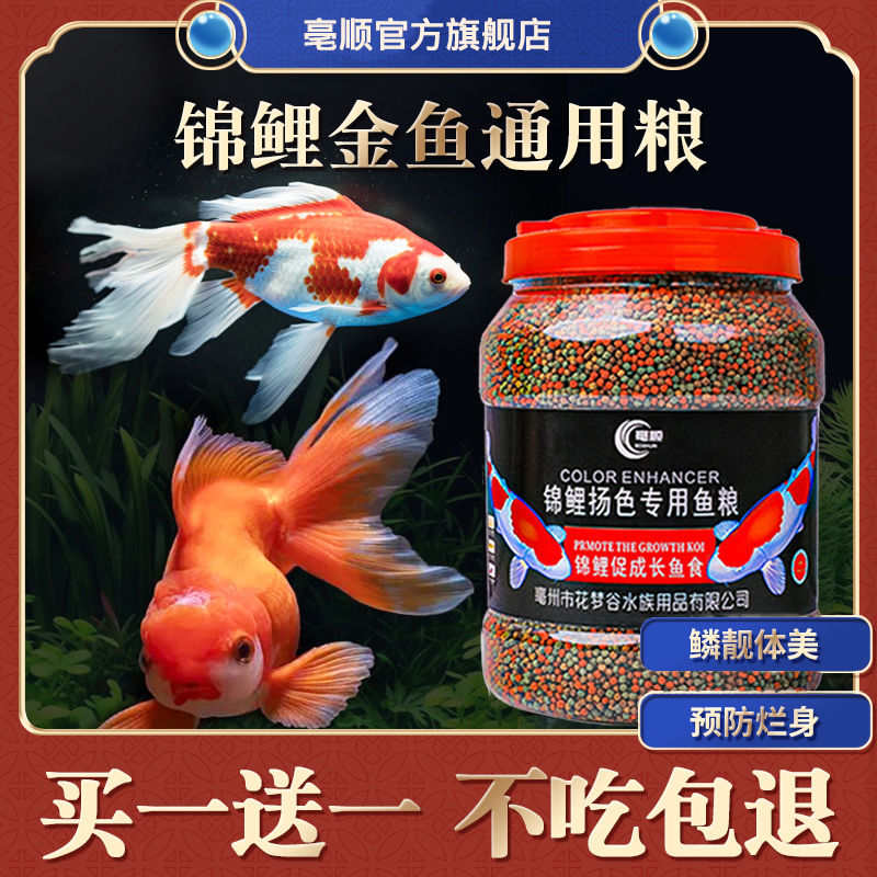锦鲤鱼饲料鱼食小颗粒家养鱼饲料通用型育成专用增色不易浑水