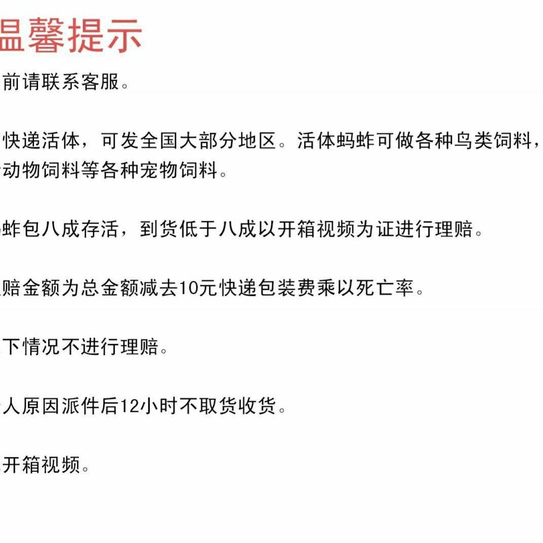 活体蚂蚱画眉食用虫喂鸟的虫子蚂蚱提性鲜活爬宠食草蜢活虫饲料虫 图片 7