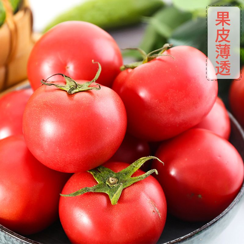 165876-新鲜采摘普罗旺斯番茄5斤西红柿生吃农家自然熟沙瓤蔬菜现摘水果-详情图