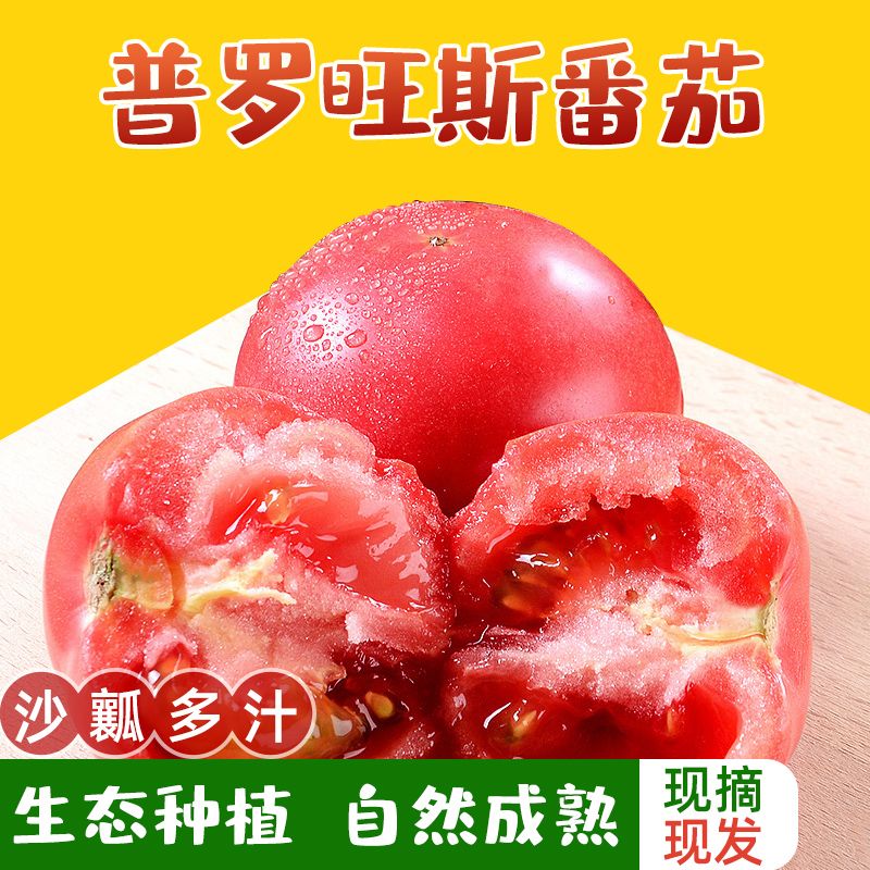165876-新鲜采摘普罗旺斯番茄5斤西红柿生吃农家自然熟沙瓤蔬菜现摘水果-详情图