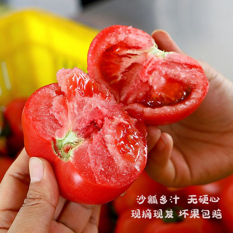 165876-新鲜采摘普罗旺斯番茄5斤西红柿生吃农家自然熟沙瓤蔬菜现摘水果-详情图