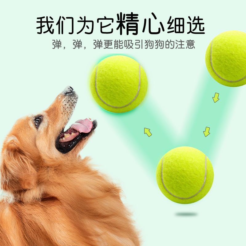 狗狗玩具七彩铃铛玩具球发声磨牙耐咬泰迪博美宠物训练球解闷用品