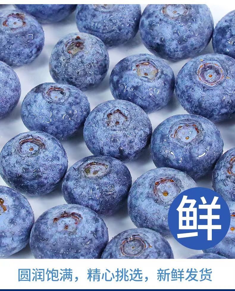 【顺丰包邮】蓝莓大果新鲜蓝莓应季水果现摘蓝莓孕妇宝宝水果批发