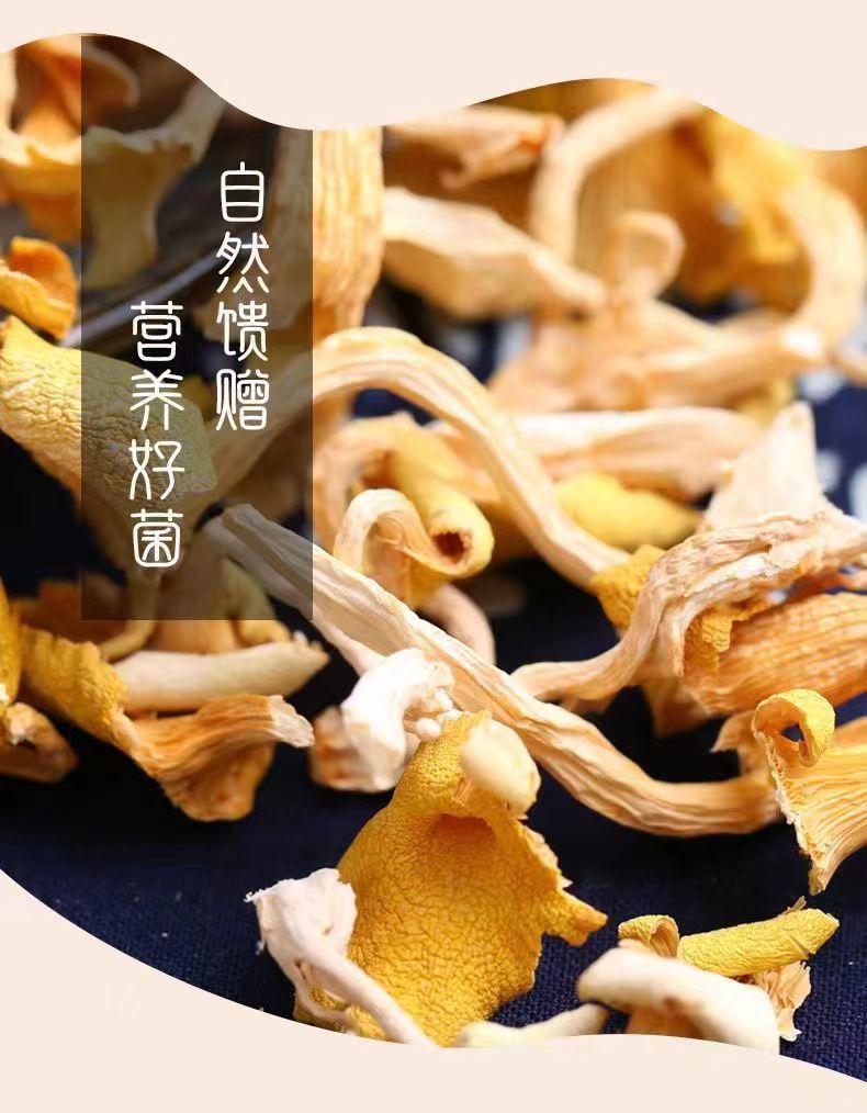 【鸡油菌干货】黄金菇榆黄菌干云南特产非野生菌正品保障新货